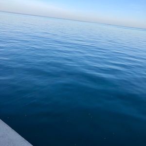 Meet your Posher, Kennedy